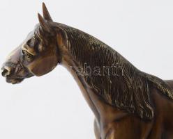 Ismeretlen szobrász: Ló talapzaton, bronz, jelzés nélkül, hibátlan, h: 46 cm, m: 39 cm KIZÁRÓLAG SZE...