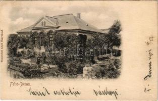 1901 Felsőderna, Derna (Bihar, Bihor); kúria, villa. Sonnenfeld Adolf kiadása / villa (EK)