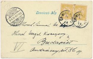 1900 Érmihályfalva, Valea lui Mihai; Casino, református templom, Nemzeti Szálloda, Kiházasító Egylet...