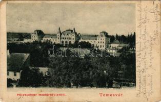 1902 Temesvár, Timisoara; pályaudvar madártávlatból, vasútállomás / railway station (kis szakadás / small tear)