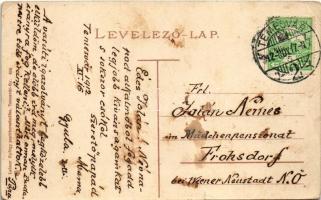 1912 Temesvár, Timisoara; villamosáram fejlesztő turbina. Lehner György kiadása / electric power pla...