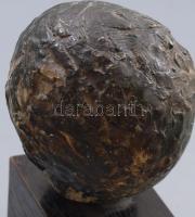 Ismeretlen szobrász: Férfi fej. cca 20. sz. eleje, fa talpon, m: 19 cm