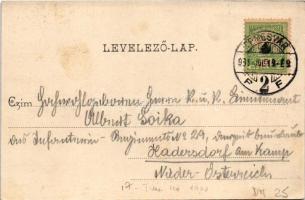 1901 Temesvár, Timisoara; gyárvárosi részlet. Polatsek féle könyvkereskedés kiadása / Fabric, factor...