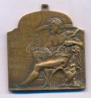 Ifj. Vastagh György (1868-1946) 1909. "XVI. Nemzetközi Orvos Kongresszus - Budapest" bronz plakett füllel. "MCMIX BUDAPESTINI / CONVENTUS MEDICORUM XVI INTERNATIONALIS" (44x40mm) T:XF HP 6363., HV 1398.