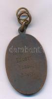 1949. "Budapesti Labdarúgók Alszövetsége / 1948/49. III. oszt. 1csop 3hely" bronz díjérem füllel. A Wolfner SE tartalék csapata nyerte el. (40x25mm) T:AU