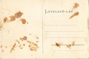 Magyarlápos, Oláhlápos, Targu Lapus; római katolikus templom, görög katolikus templom, állami iskola...