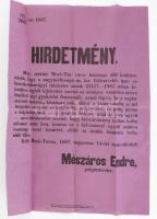 1887 Mezőtúr város országos vásár tartásáról szóló hirdetmény 31x46 cm