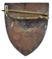 1941. "V Europa" Magyar Megújulás Nemzetiszocialista Pártszövetség zománcozott bronz jelvé...