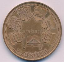 Fűz Veronika (1951-) "Szakmunkásképző Intézet és Szakközépiskola Baja" bronz emlékérem (42...