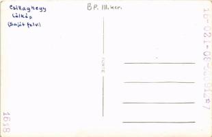 Budapest III. Csillaghegy, látkép. photo