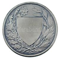 Berán Lajos (1882-1943) ~1930. "Országos Testnevelési Tanács" ezüstözött bronz emlékérem, ...