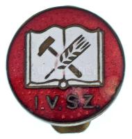 1950. "IVSZ (Ifjúsági Világszövetség?)" zománcozott bronz gomblyukjelvény (16,5mm) T:XF zománchiba