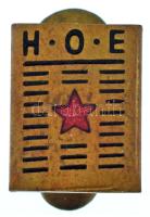 DN "HOE" részben zománcozott bronz gomblyukjelvény (12x16mm) T:XF