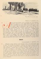 Zágoni Mikes Kelemen Törökországi Levelei. A Magy. Kir. Kormány támogatásával, II. Rákóczi Ferencz h...