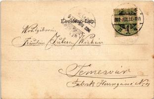 1902 Szeged, Tisza part, Kultúrpalota, uszoda. Szecessziós címeres litho keret, Art Nouveau (EK)