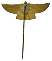 DN "MVRE (Magyar Veterán Repülő Egyesület)" zománcozott fém kitűző T:2