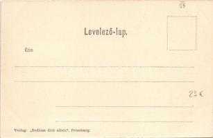 Pozsony, Pressburg, Bratislava; Várhegy, vár, VESTA oldalkerekes gőzhajó (DGT). Verlag "Bediene...