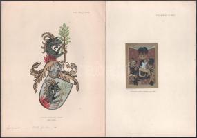 cca 1800-1910 12 db magyar és külföldi nemesi címereket, heraldikai motívumokat ábrázoló litografált...