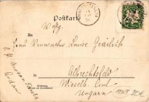 1894 (Vorläufer!!!) Bad Reichenhall, general view with Edelweiss flower montage, Art Nouveau (r)