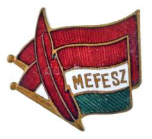 ~1950. "MEFESZ (Magyar Egyetemisták és Főiskolai Egyesületek Szövetsége)" zománcozott bronz jelvény T:AU