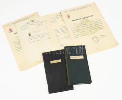 cca 1930 Széchenyi István állatorvos és egyetemi tanár 6 darab igazolványa és egyéb irata
