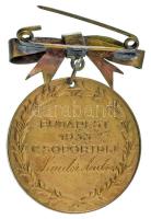 Reményi József (1887-1977) 1933. "A kormányzói díjat nyert dalosok emlékérme / Budapest 1933 Cs...