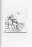 Luther Márton:
A szolgai akarat. Luther Márton De servo arbitrio című teológiai vitairata (1525). (...