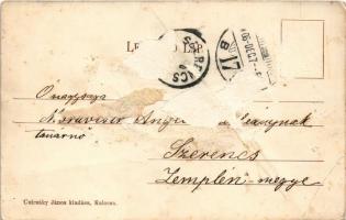 1906 Kalocsa, Érseki kert tópartja. Csicsáky János kiadása (ragasztónyom / glue marks)