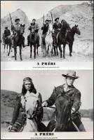 cca 1989 előtt készült, "A préri" című román - francia - angol film jelenetei és szereplői, 13 db vintage produkciós filmfotó (vitrinfotó, lobbyfotó) ezüst zselatinos fotópapíron, a használatból eredő (esetleges) kisebb hibákkal, 18x24 cm
