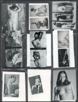 Nézőképek 29 szolidan erotikus felvételről, jelzés nélkül, 5x8 cm és 3x3 cm között