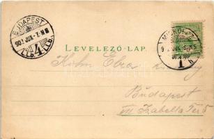 1902 Miskolc, látkép, templom. Ferenczi B. kiadása (EK)