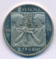 Ukrajna 2003. 2H Ni-brass "XXVIII. Olimpia - Ökölvívás" forgalmi emlékkiadás kapszulában T:XF (eredetileg PP), patina, ködösödés Ukraine 2003. 2 Hryvnia Ni-brass "Olympic XXVIII - Boxing" circulating commemorative coin in capsule C:XF (originally PP), patina, hazy Krause KM#182