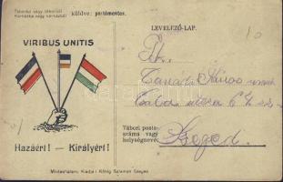 WWI propaganda Viribus Unitis (fa)