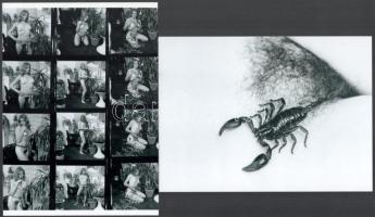 cca 1962 "A házi kiskert ápolója és őrzője", szolidan erotikus felvételek, 2 db modern nagyítás, jelzés nélkül, 21x15 cm