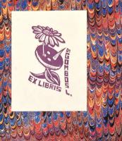 Arany János Kapcsos Könyve. Keresztury Dezső kísérő tanulmányával. Bp., 1977, Akadémiai Kiadó - Magy...