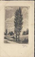 Trees, etching, artist signed