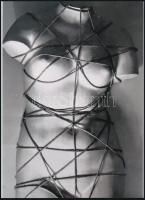cca 1936 Man Ray (1890-1976) amerikai fotóművész, a dadaizmus és a szürrealizmus egyik meghatározó művészének alkotása (Vénusz megkötözve), 1 db modern nagyítás, jelzés nélkül, 21x15 cm