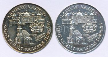 DN "Lamberg-kastély - Szent Kereszt Kapucinus Templom / Móri bornapok - Wekerle Sándor Egyesülete Mór" emlékérem fém előlapi lemezverete. Szign.: EM (42,5mm) T:AU