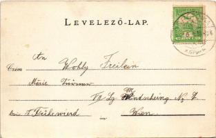 Drétoma, Drietoma, Drithoma; Rakovszky-Chorinsky kastély. Feitl S. kiadása, Brück Gyula felvétele / ...