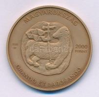 2020. 2000Ft Cu-Zn "Református Nagytemplom és Kollégium - Debrecen - Nemzeti Emlékhely" kapszulában T:BU Adamo EM410