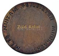 Renner Kálmán (1927-1994) DN "Dr. Török Gábor / M.É.T.E. Műszaki Fejlesztési Munkáért" bro...