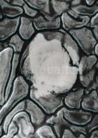 Gorka Iparművészeti vállalatos kos formájú kínáló. Mázas kerámia, jelzett, h: 21 cm