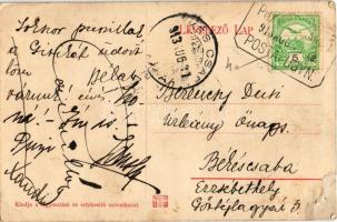 1913 Pozsonysárfő, Sárfő, Sarfia, Blatné; Római katolikus templom és iskola, Plank-féle malom, Fogya...