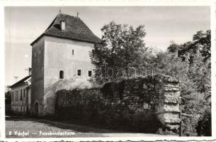 Beszterce castle wall photo (fa)