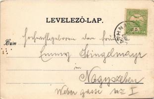 1907 Zalatna, Zlatna; Piactér, templomok. Nagy Árpád kiadása / market square, churches (EK)