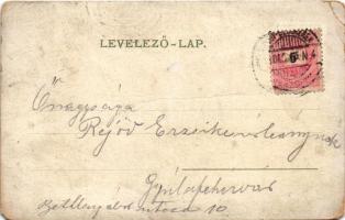 Kolozsvár, Cluj; M. kir. állami tanítónőképző kerti része / teachers' training institute (EM)