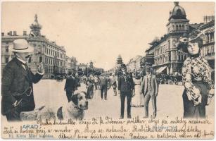 Arad, Andrássy tér. Ifj. Klein Mór kiadása, montázs hölggyel, úriemberrel és kutyával / square, montage with lady, gentleman and dog (EK)