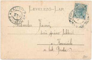 Arad, Andrássy tér. Ifj. Klein Mór kiadása, montázs hölggyel, úriemberrel és kutyával / square, mont...