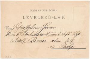 1898 (Vorläufer) Segesvár, Schässburg, Sighisoara; Totalansicht, Comitatshaus, Ev. Gymnasium, Kloste...