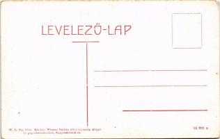 Nagyszentmiklós, Sannicolau Mare; Fő tér, Gróf Nákó kastély. Wiener Náthán kiadása. W.L. Bp. 2106. /...